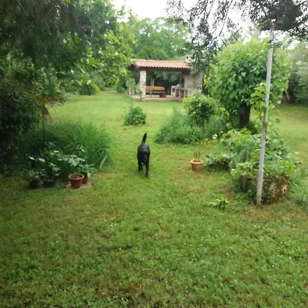 Miri Apartamento *