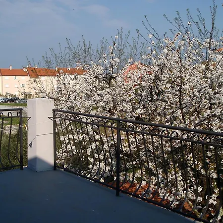 Miri * Zambratija (Istria)