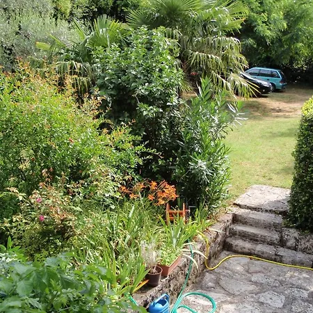 Miri Zambratija (Istria)