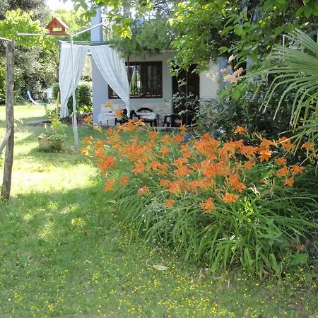 Apartman Miri