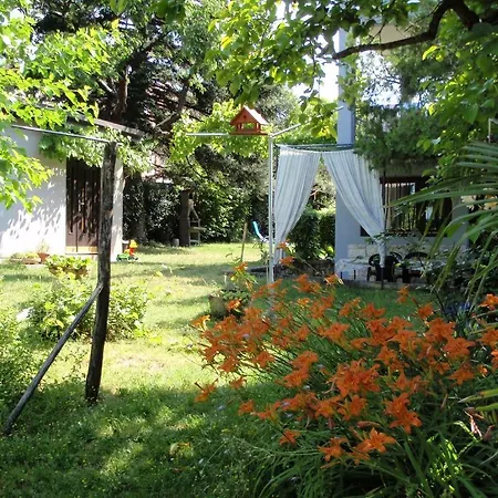 Apartman Miri Zambratija (Istria)