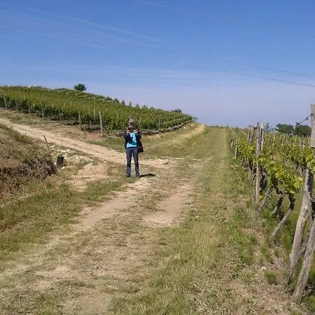 Miri * Zambratija (Istria)
