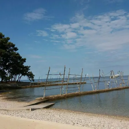 Miri Zambratija (Istria)