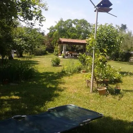 Miri Apartment Zambratija (Istria)